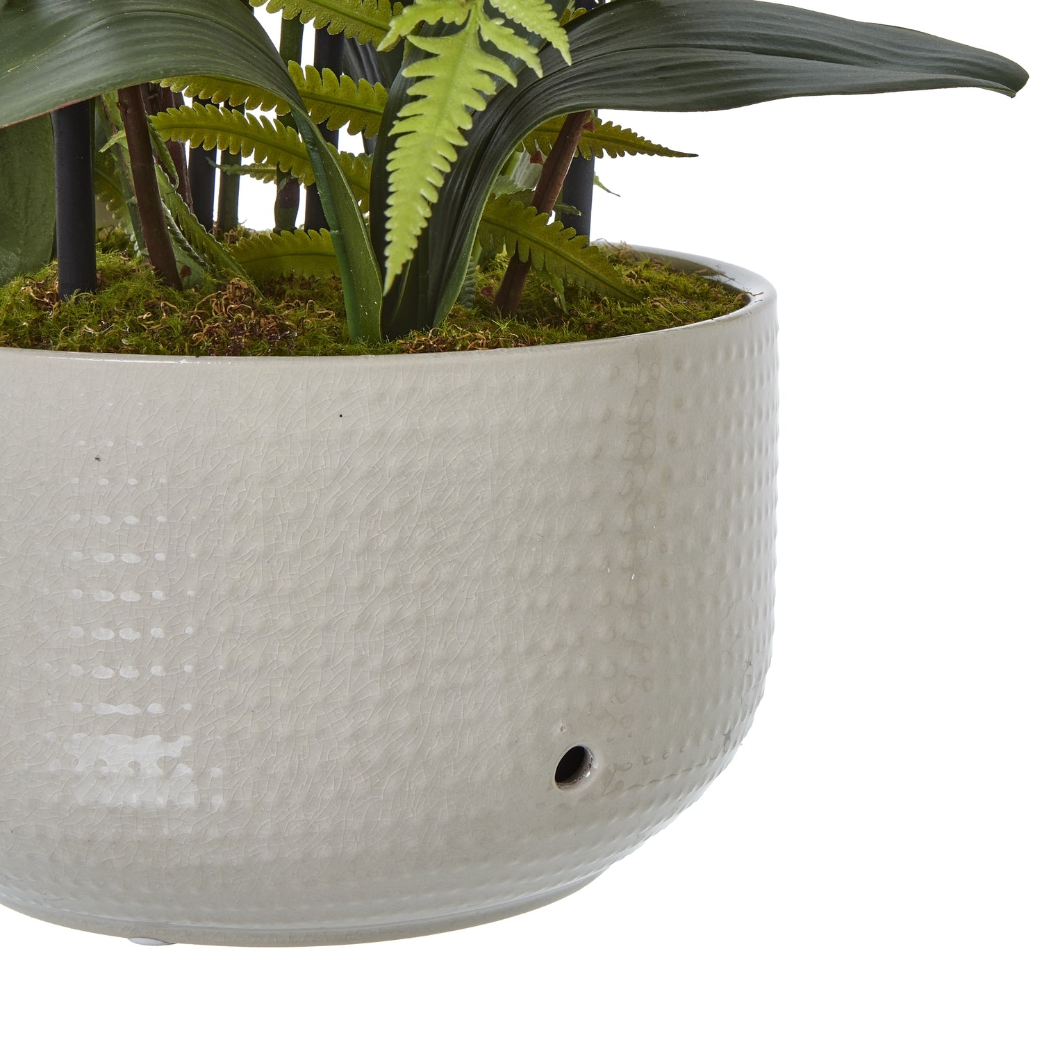 Large White Orchid In Ceramic Pot - Skandi London