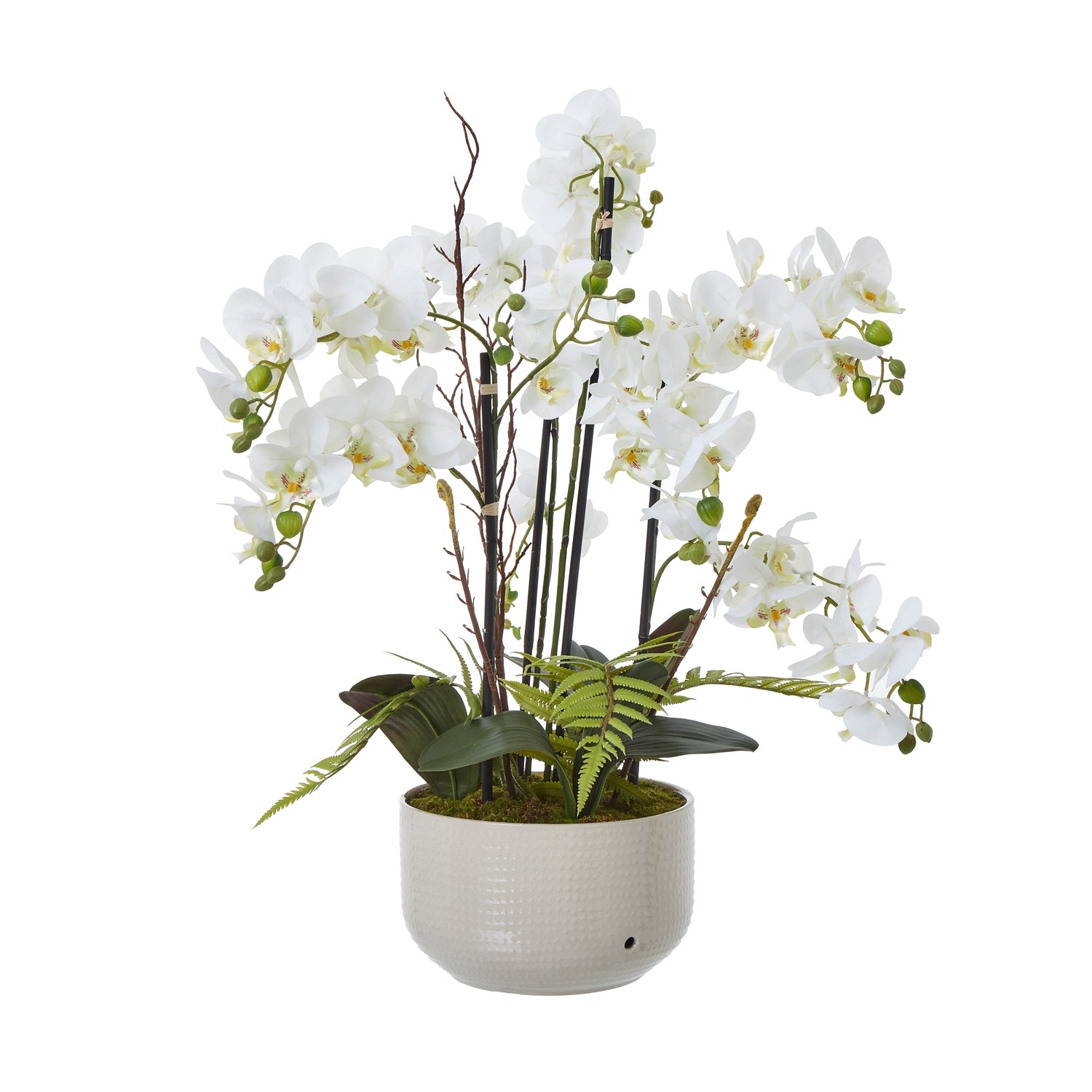 Large White Orchid In Ceramic Pot - Skandi London
