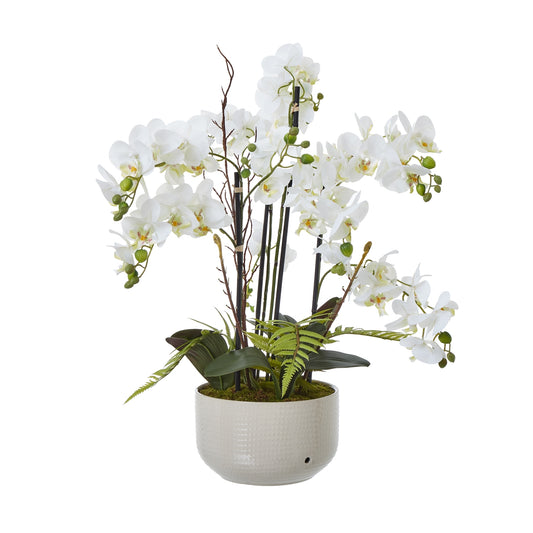 Large White Orchid In Ceramic Pot - Skandi London
