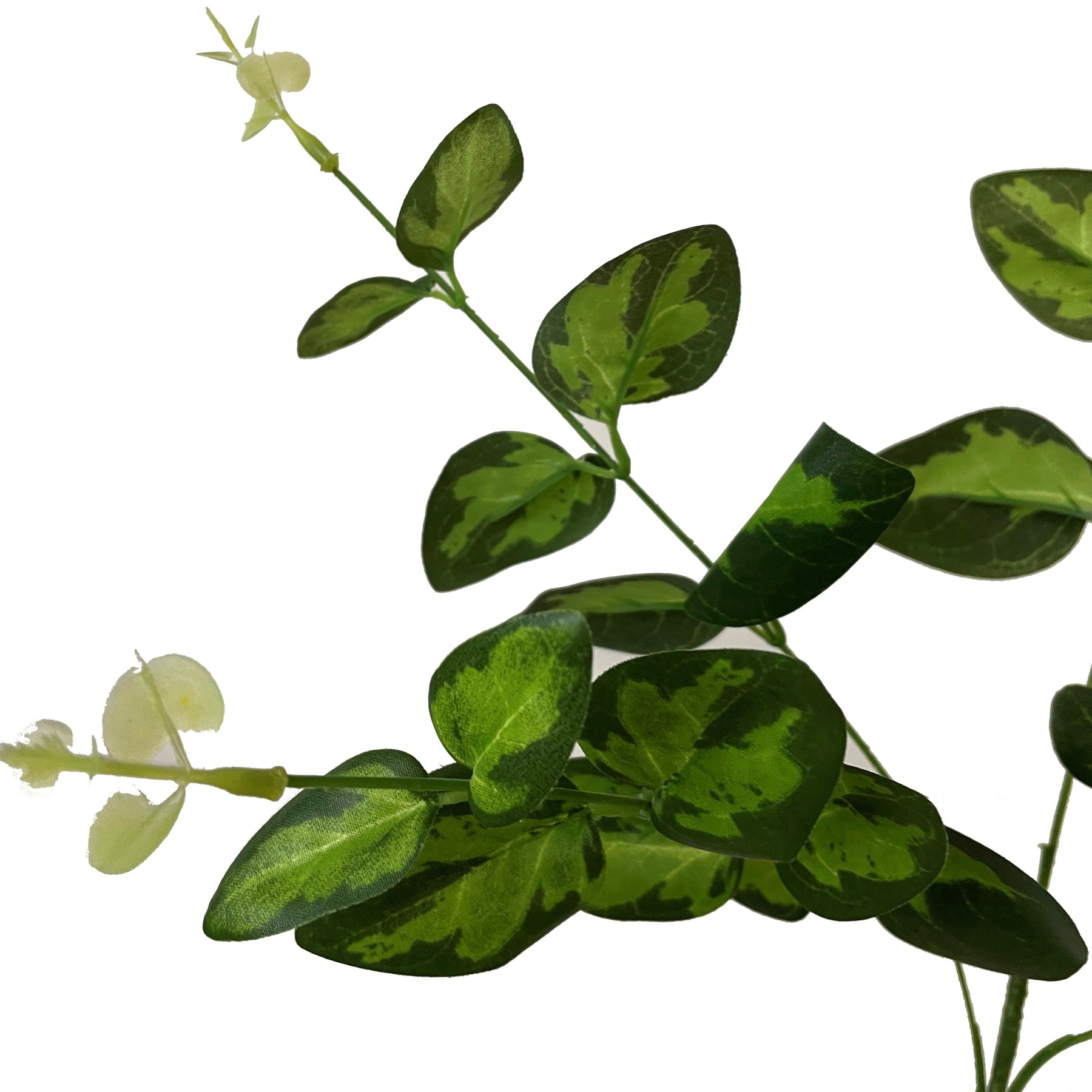 Skandi London Variegated Leaf Spray - Skandi London