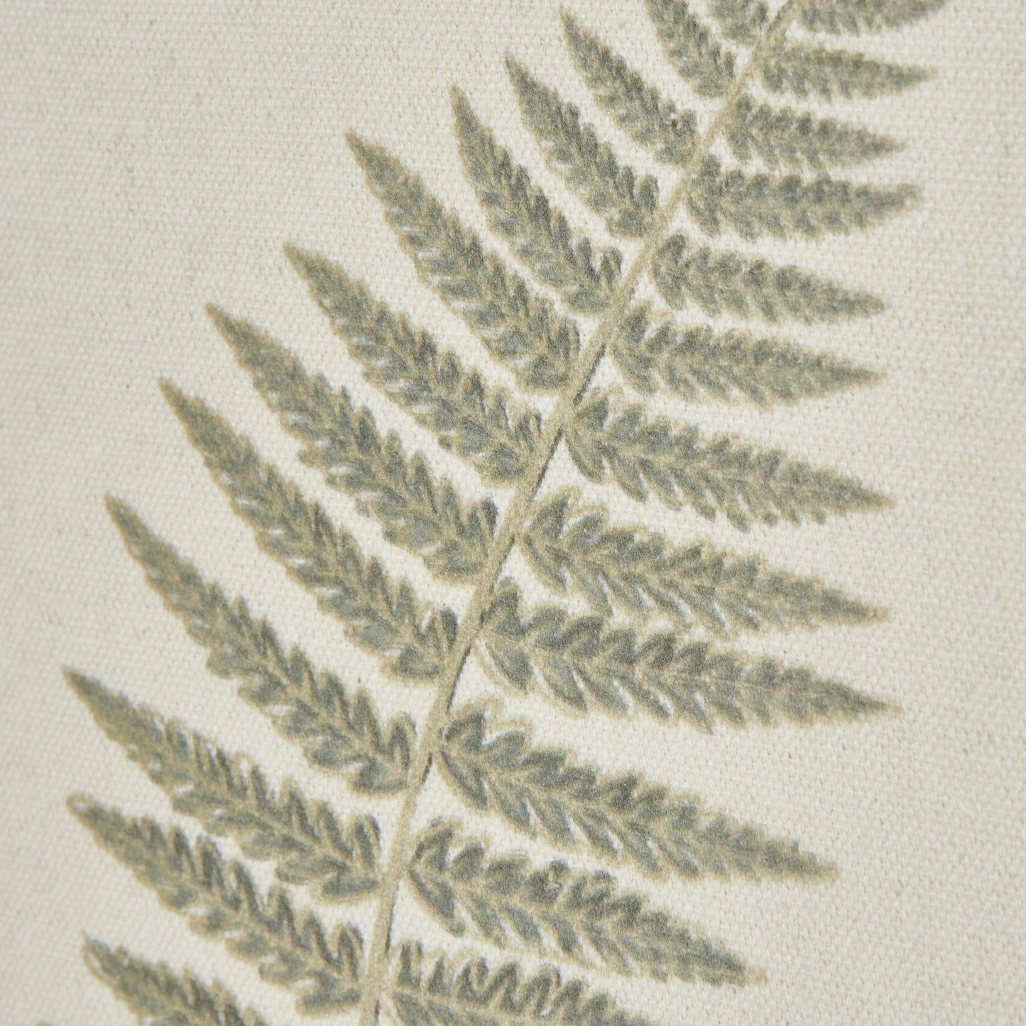Fern Art On Texture - Torn Paper With Beaded Frame - Skandi London
