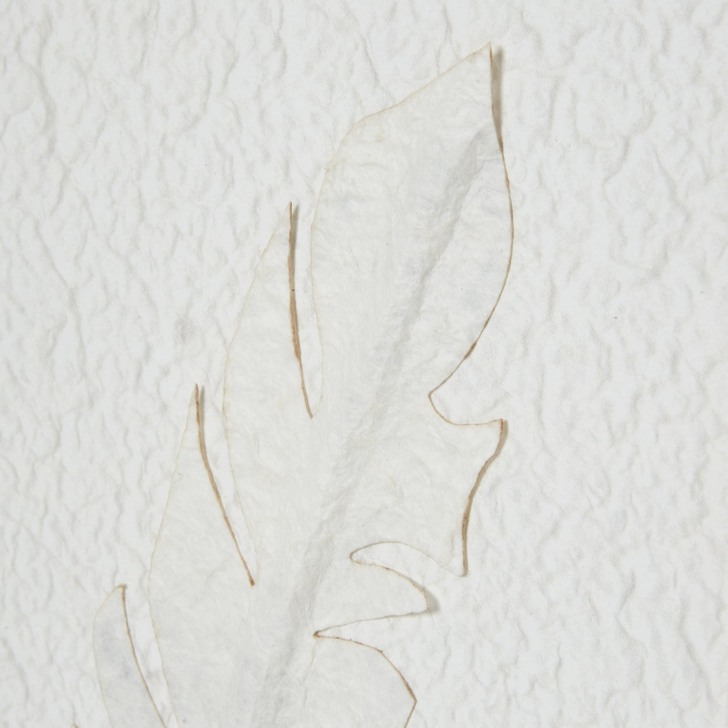 Solli White Feathers Art Mounted In Beaded Frame - Skandi London