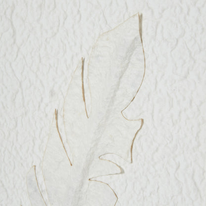 Solli White Feathers Art Mounted In Beaded Frame - Skandi London