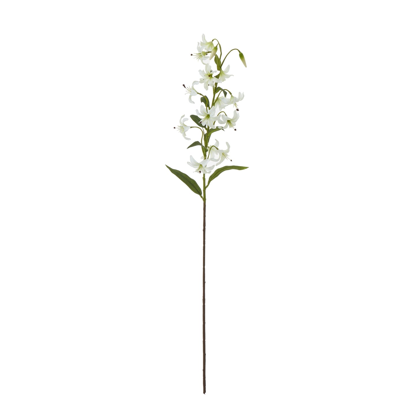 Turks Cap Green Lily Spray - Skandi London