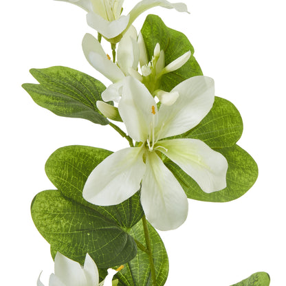 Cream Bauhinia Orchid Spray - Skandi London