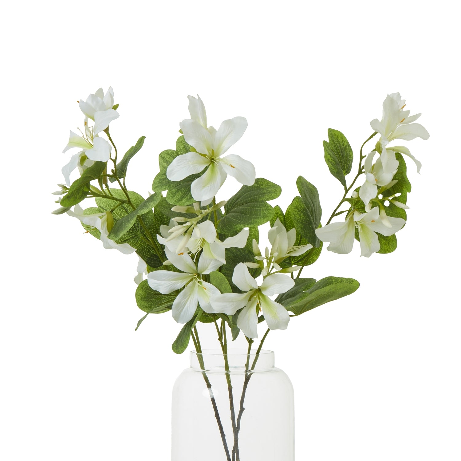 Cream Bauhinia Orchid Spray - Skandi London