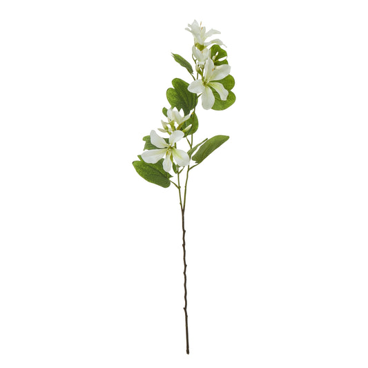 Cream Bauhinia Orchid Spray - Skandi London
