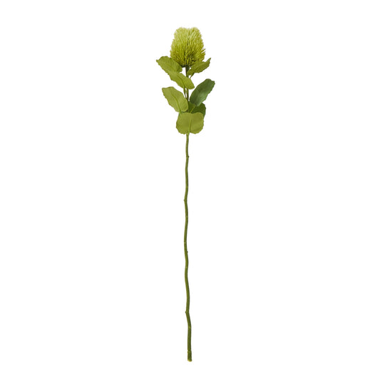 Green Banksia Stem - Skandi London