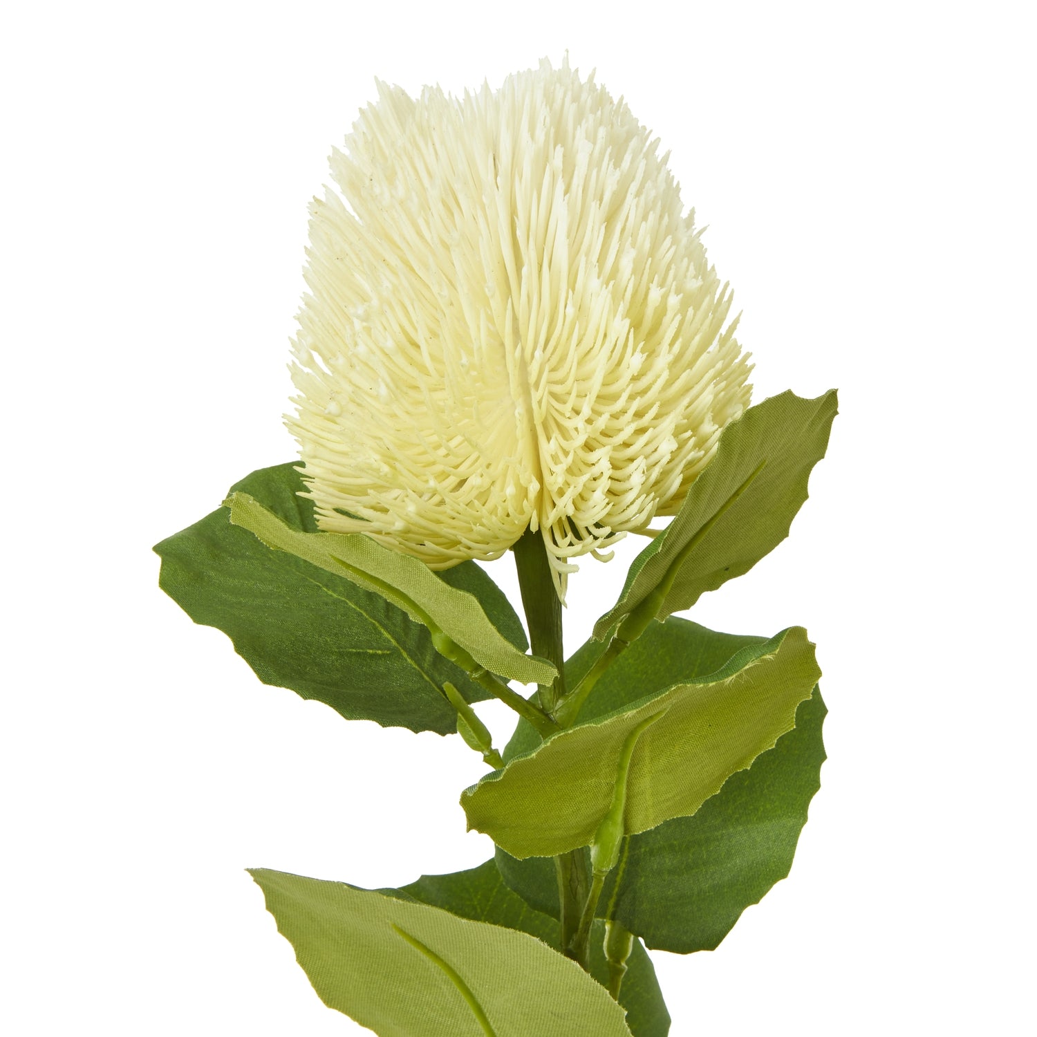 Cream Banksia Stem - Skandi London