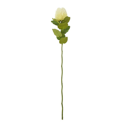Cream Banksia Stem - Skandi London