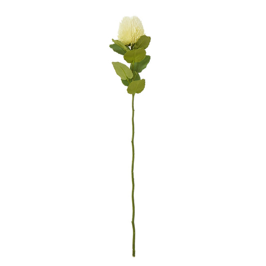 Cream Banksia Stem - Skandi London
