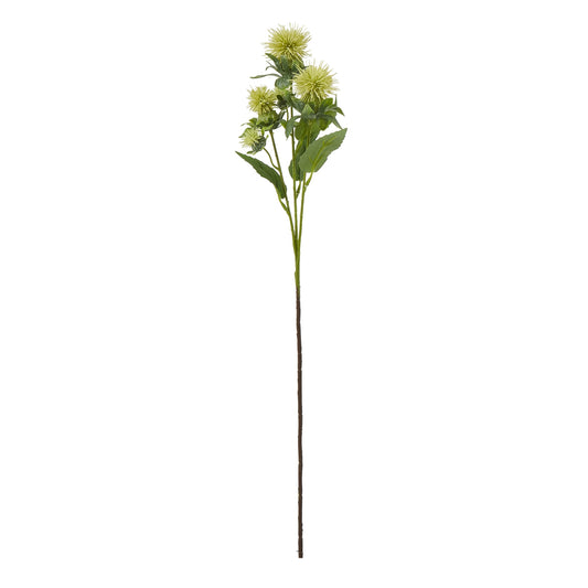 Green Safflower Spray - Skandi London
