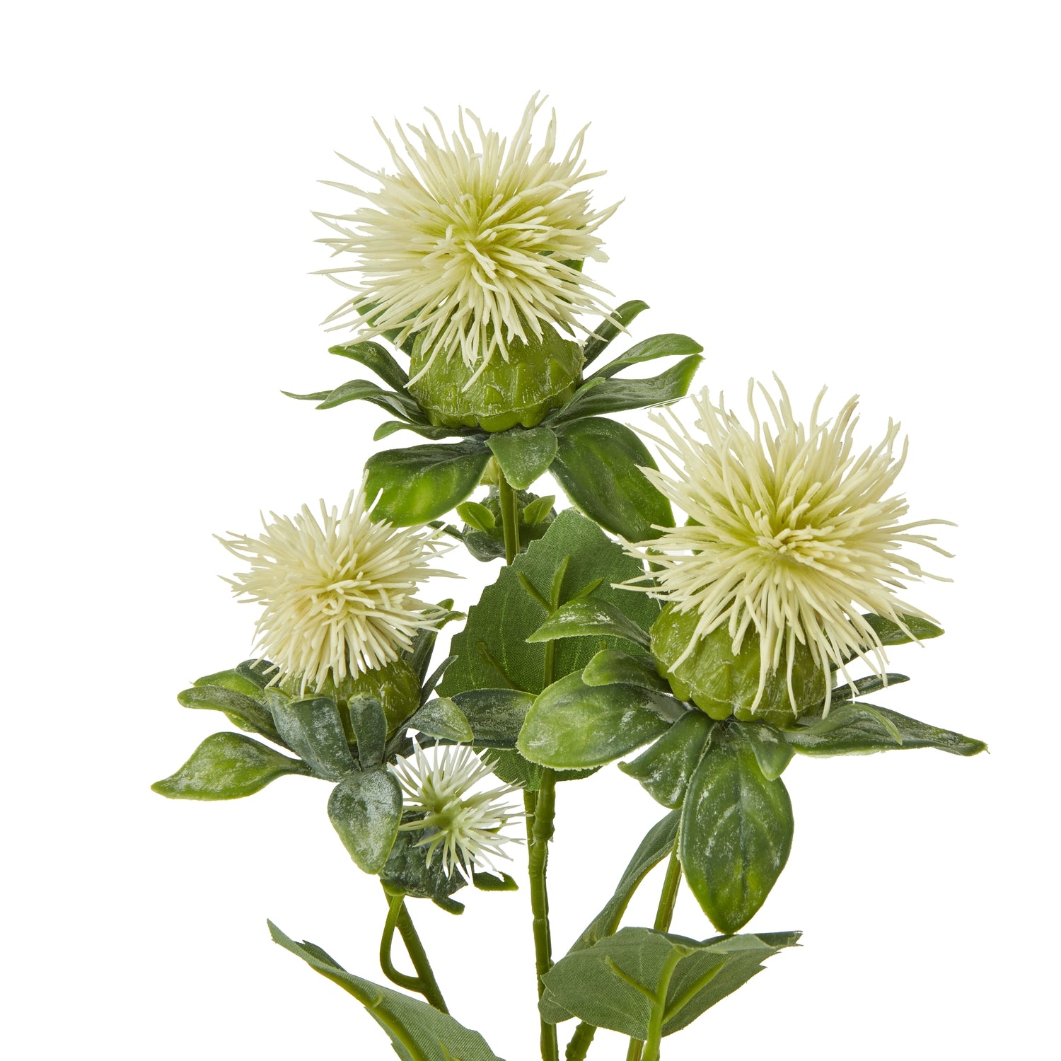 Cream Safflower Spray - Skandi London