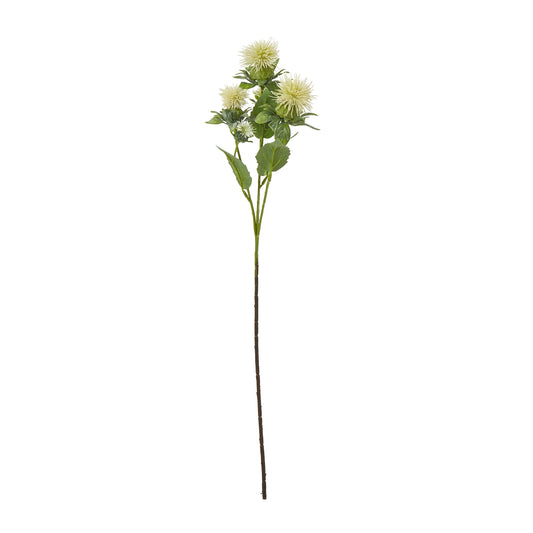 Cream Safflower Spray - Skandi London