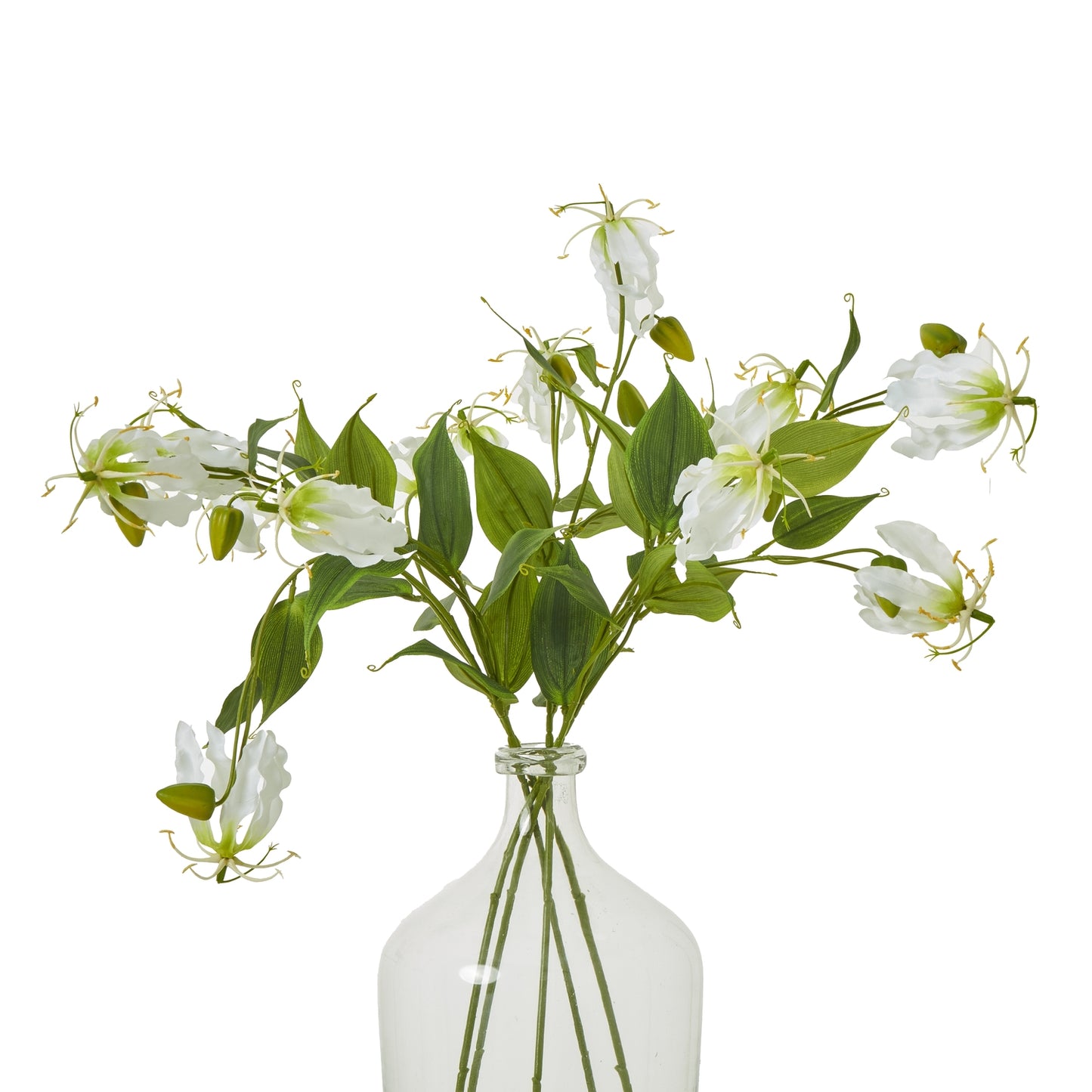 Cream Gloriosa Spray - Skandi London