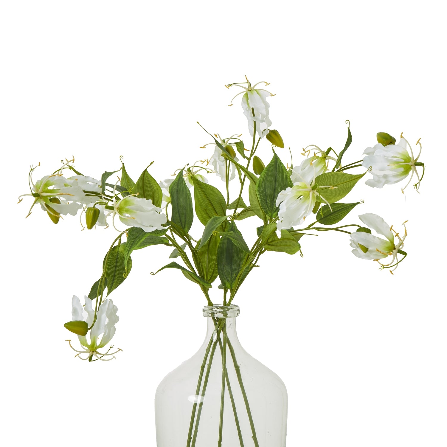 Cream Gloriosa Spray - Skandi London