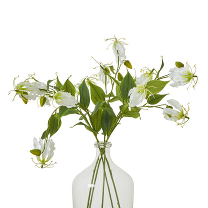 Cream Gloriosa Spray - Skandi London