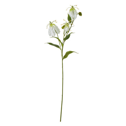 Cream Gloriosa Spray - Skandi London