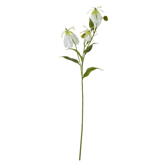 Cream Gloriosa Spray - Skandi London