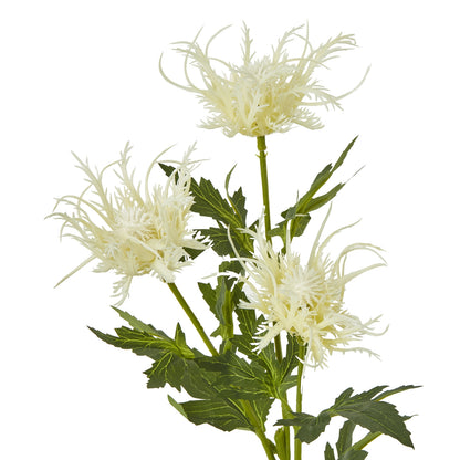 Cream Sea Holly Spray - Skandi London