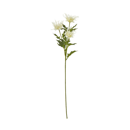 Cream Sea Holly Spray - Skandi London