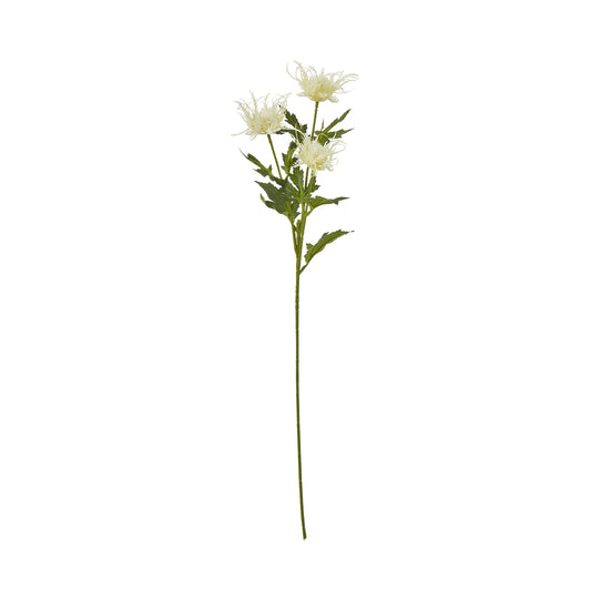 Cream Sea Holly Spray - Skandi London