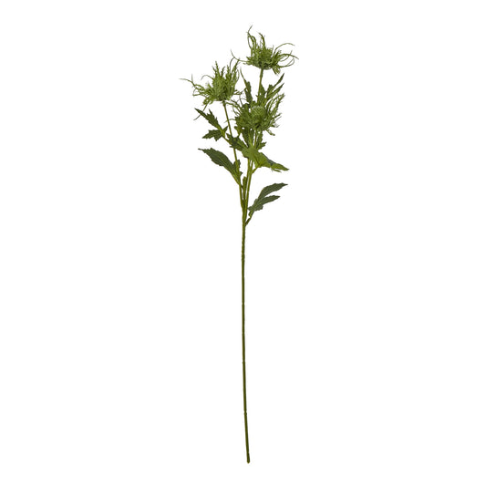 Green Sea Holly Spray - Skandi London