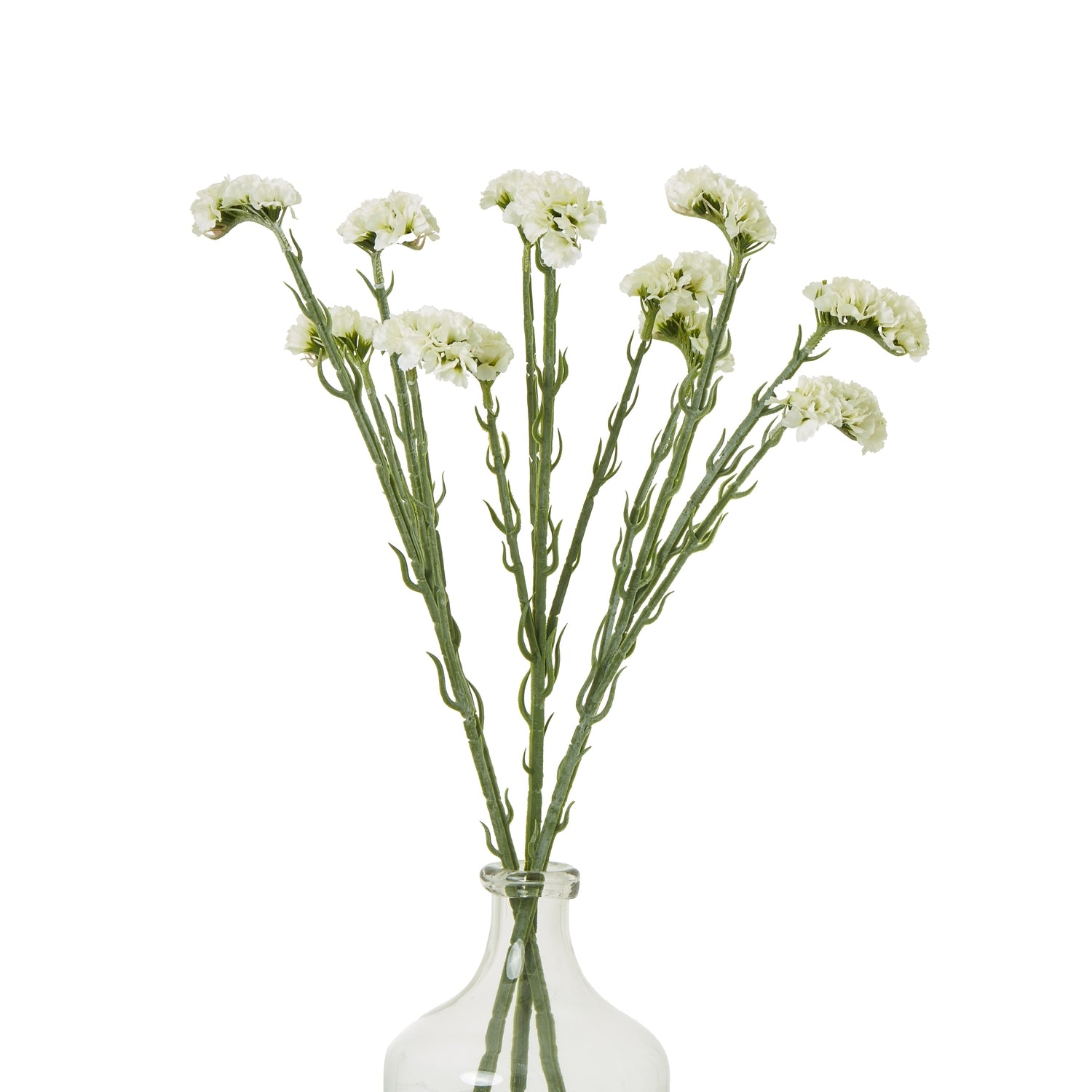 Cream Statice Spray - Skandi London