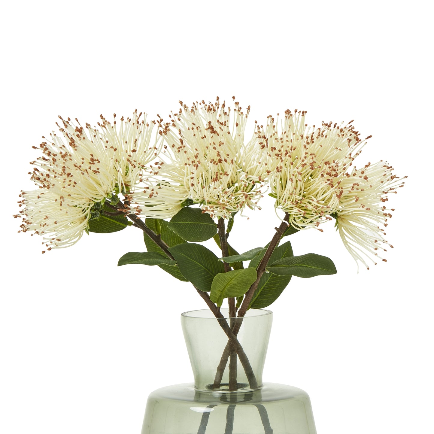 Cream Protea Nitida Stem - Skandi London