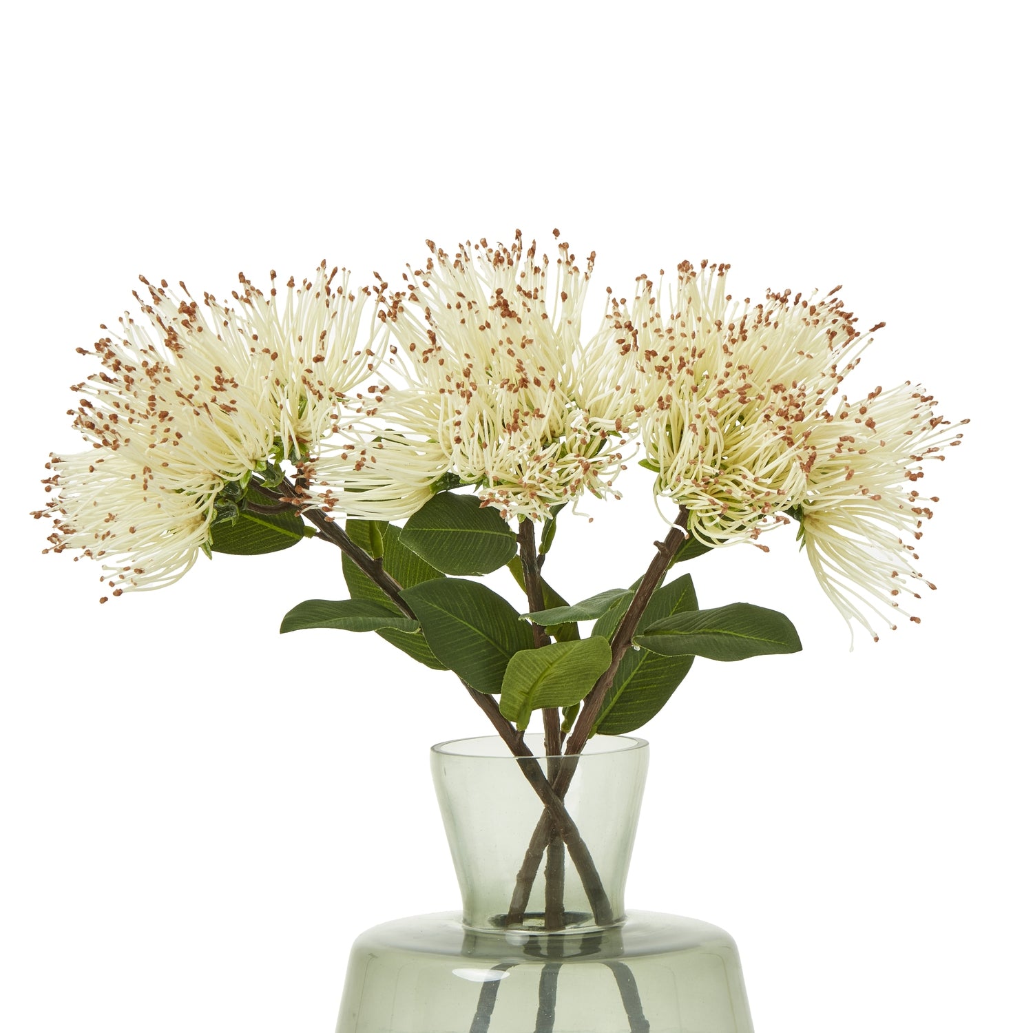 Cream Protea Nitida Stem - Skandi London