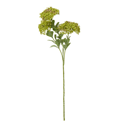 Green Sedum Spray - Skandi London