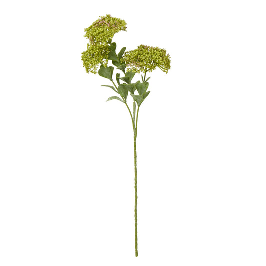 Green Sedum Spray - Skandi London
