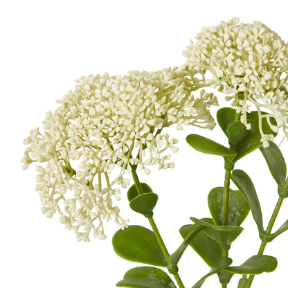 Cream Sedum Spray - Skandi London