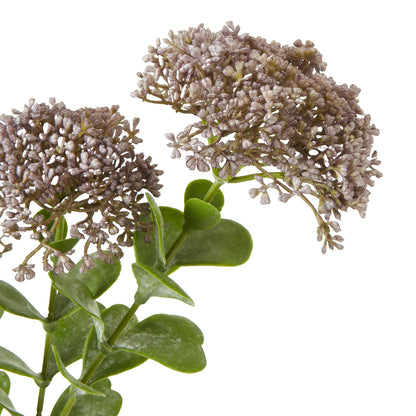 Purple Sedum Spray - Skandi London