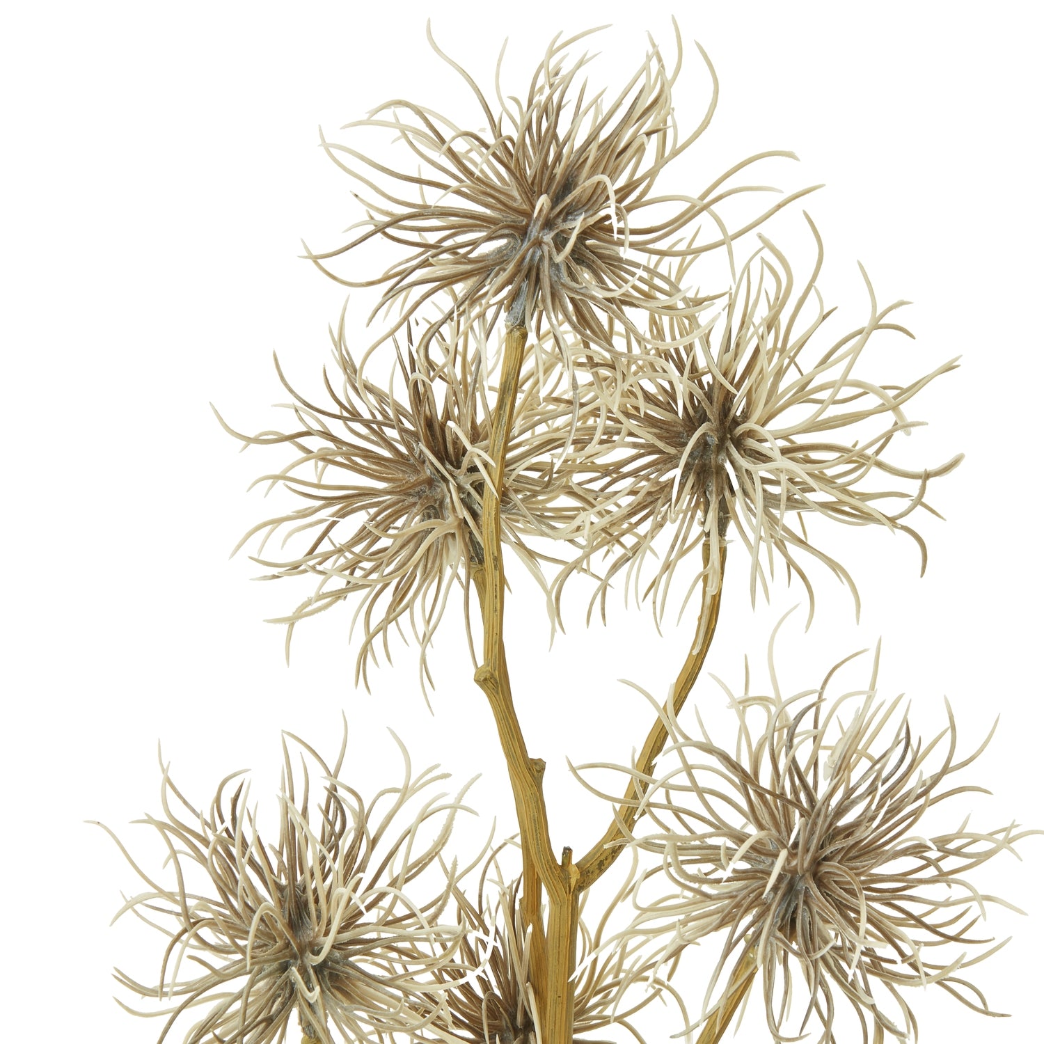 Brown Xanthium Spray - Skandi London