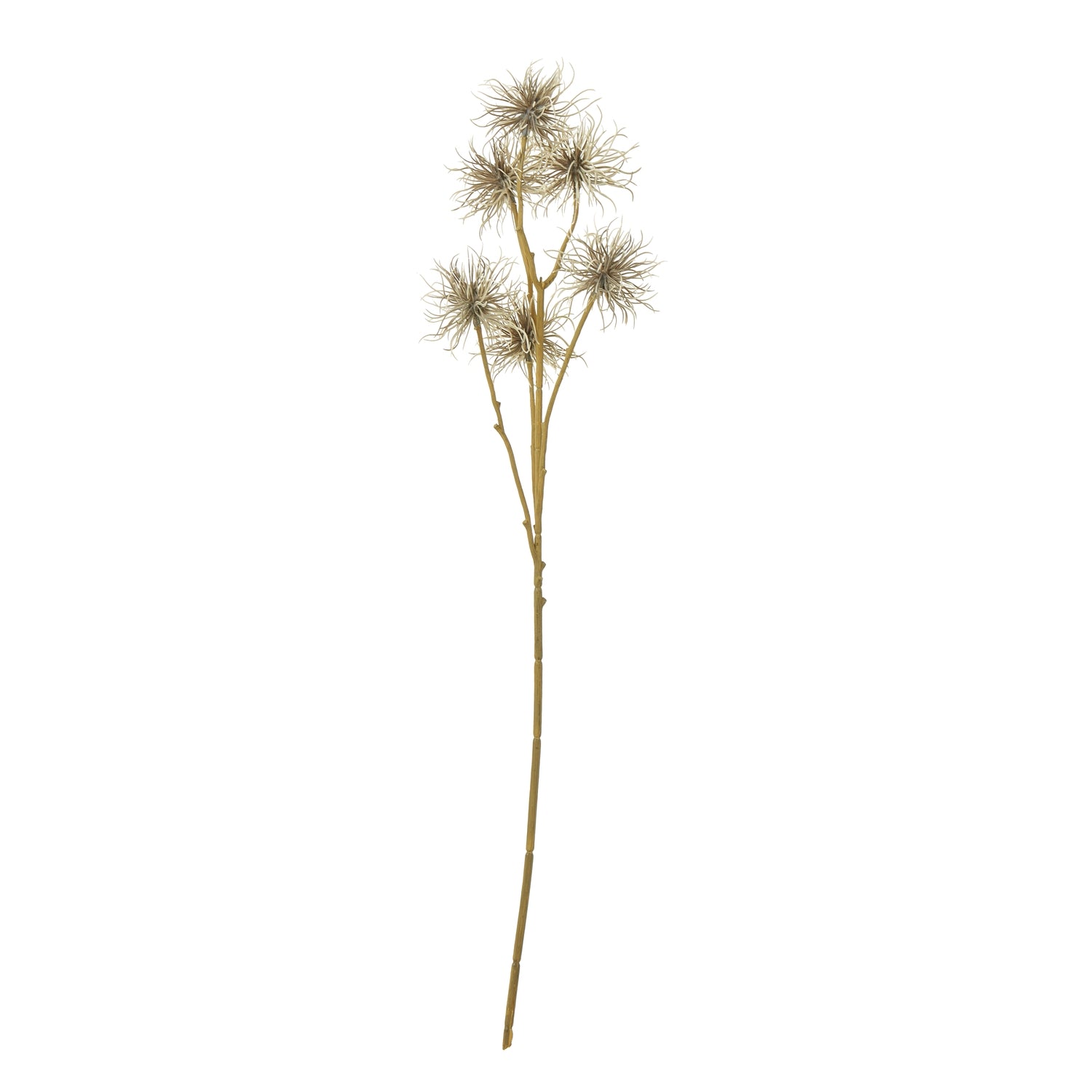 Brown Xanthium Spray - Skandi London