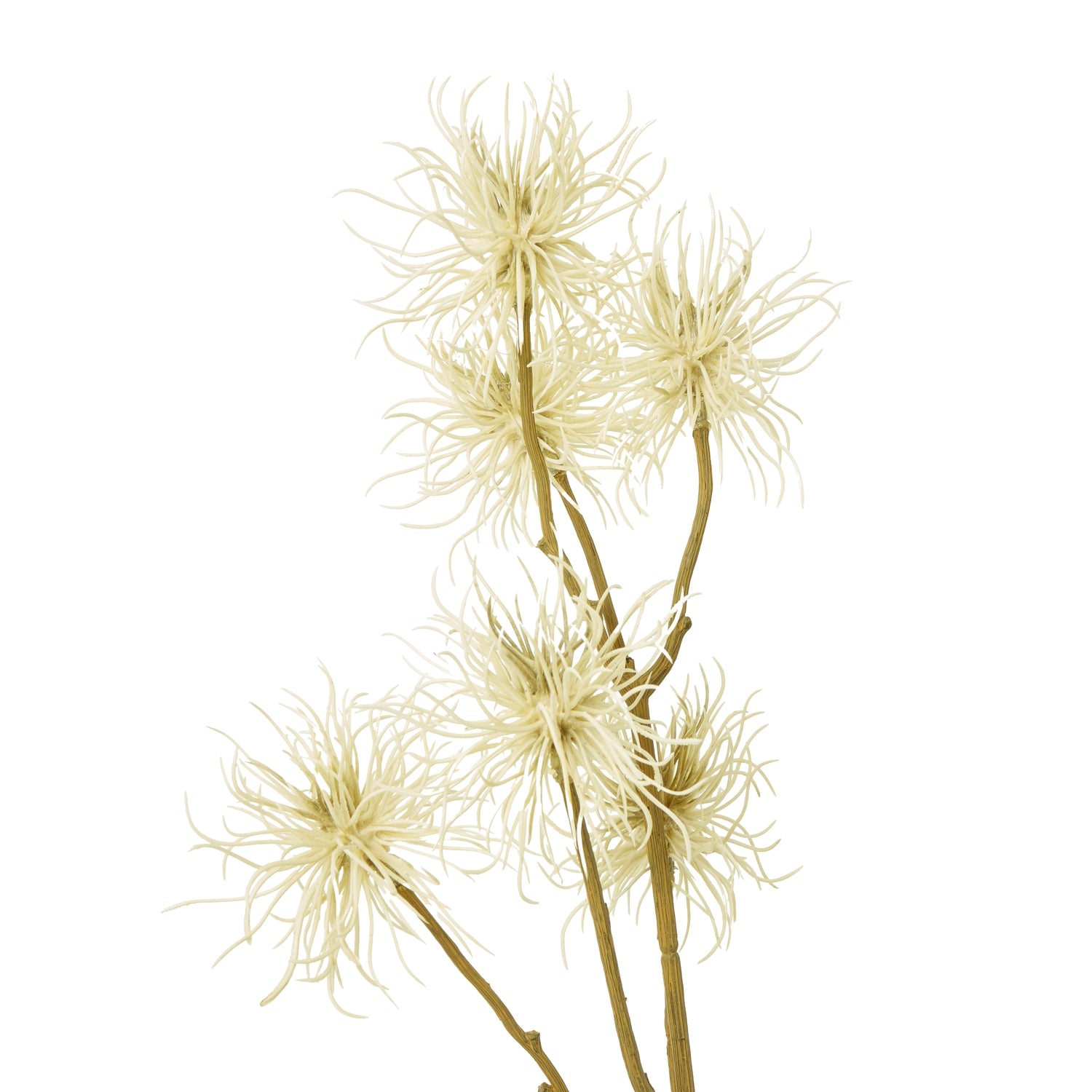 Cream Xanthium Spray - Skandi London