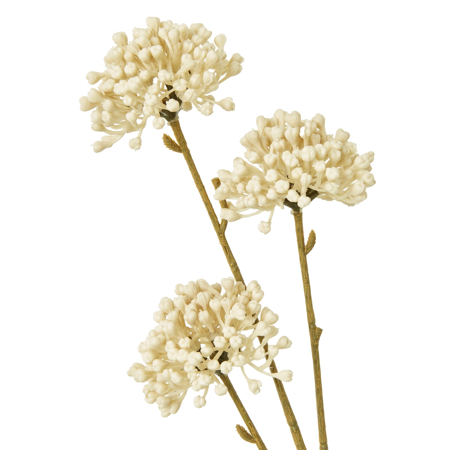 Cream Allium Spray - Skandi London