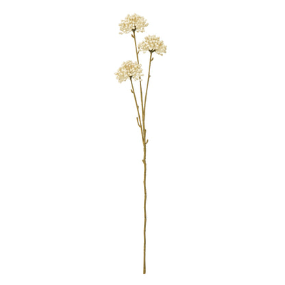 Cream Allium Spray - Skandi London