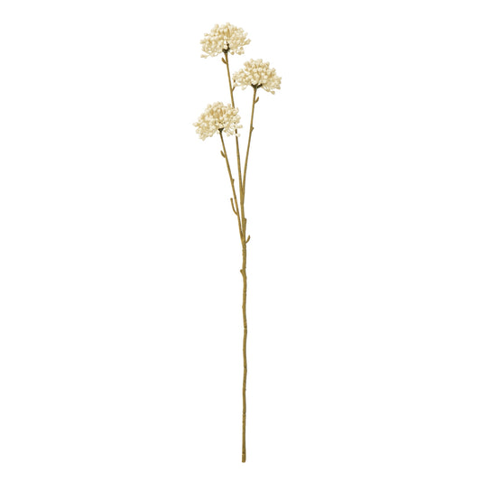 Cream Allium Spray - Skandi London