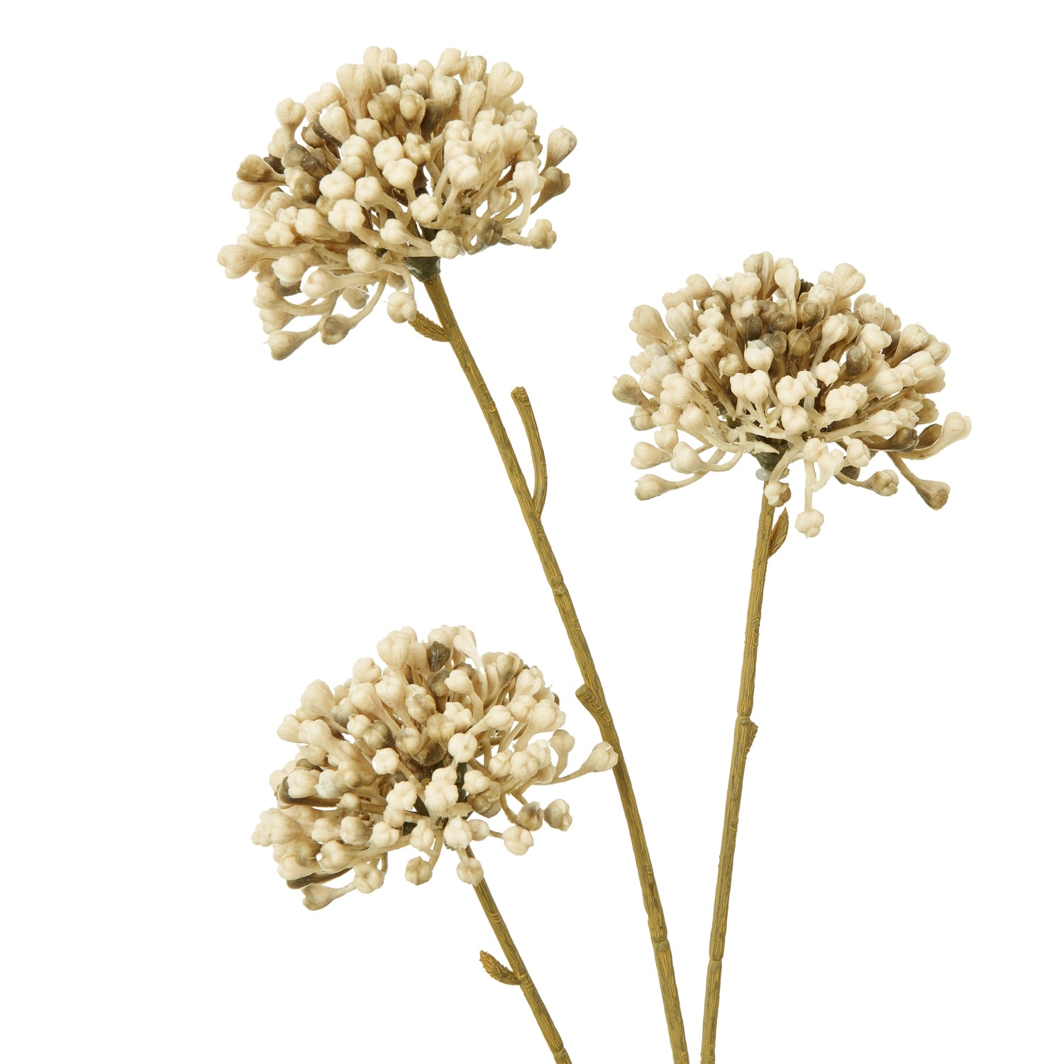 Brown Allium Spray - Skandi London