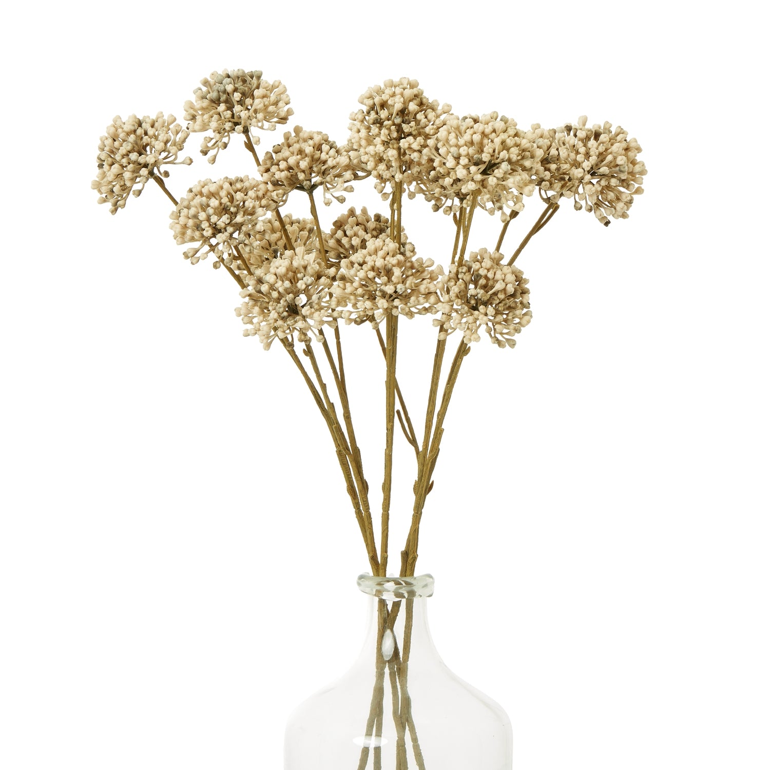 Brown Allium Spray - Skandi London