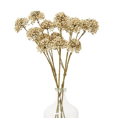 Brown Allium Spray - Skandi London