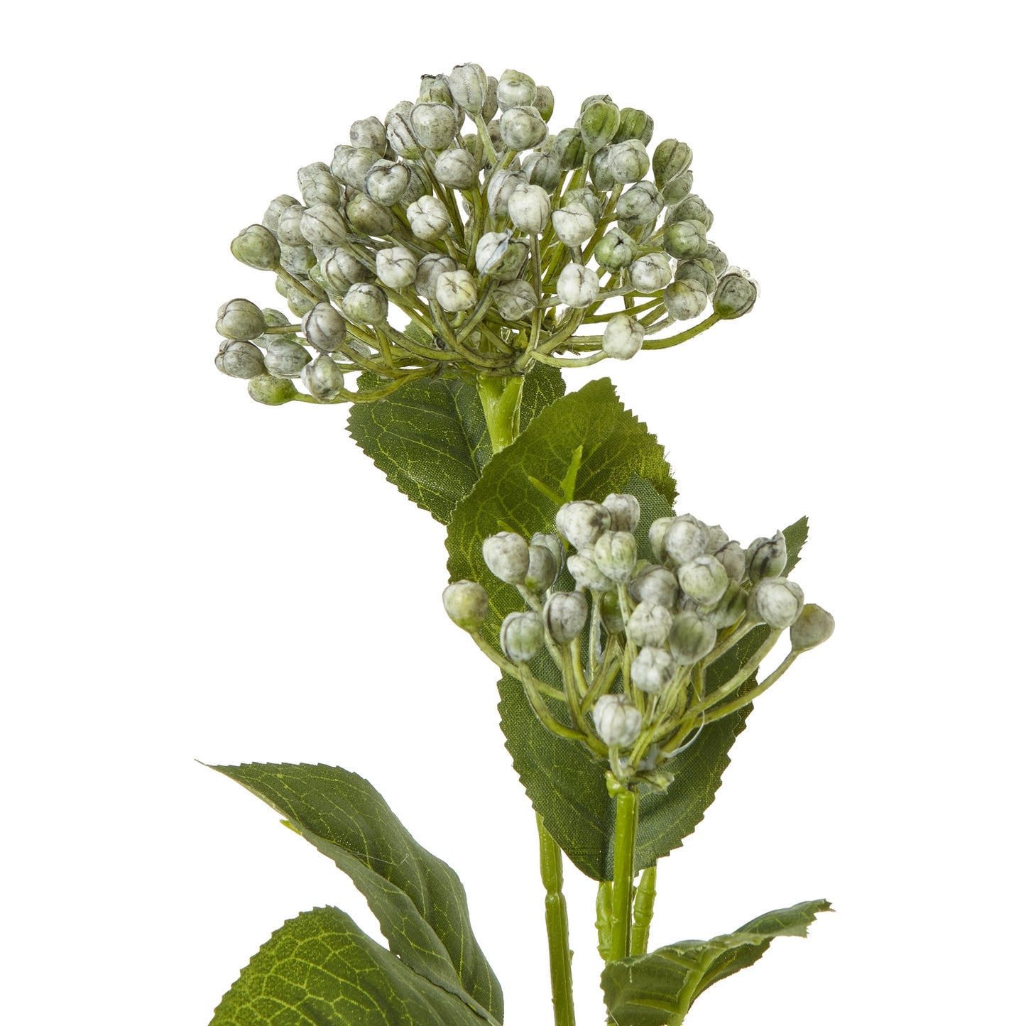 Blue Budding Hydrangea Spray - Skandi London