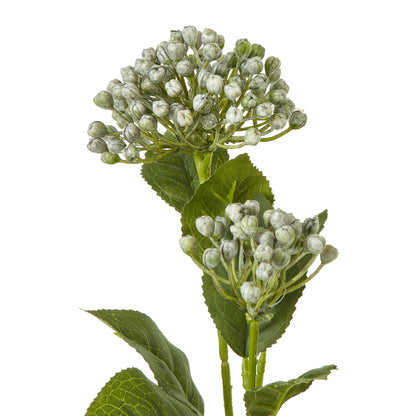 Blue Budding Hydrangea Spray - Skandi London