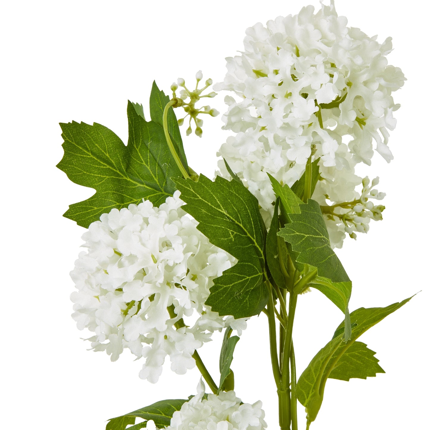 Cream Snowball Viburnum Spray - Skandi London