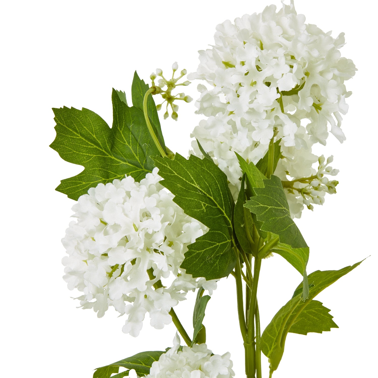 Cream Snowball Viburnum Spray - Skandi London