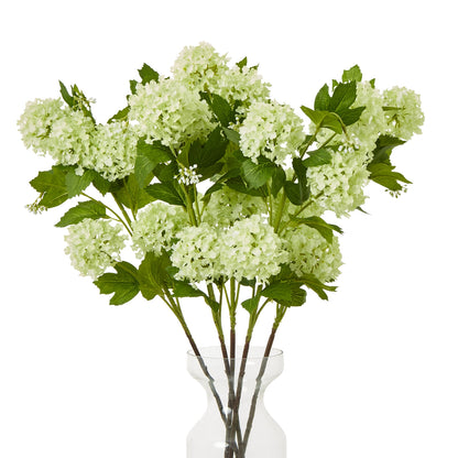 Green Snowball Viburnum Spray - Skandi London