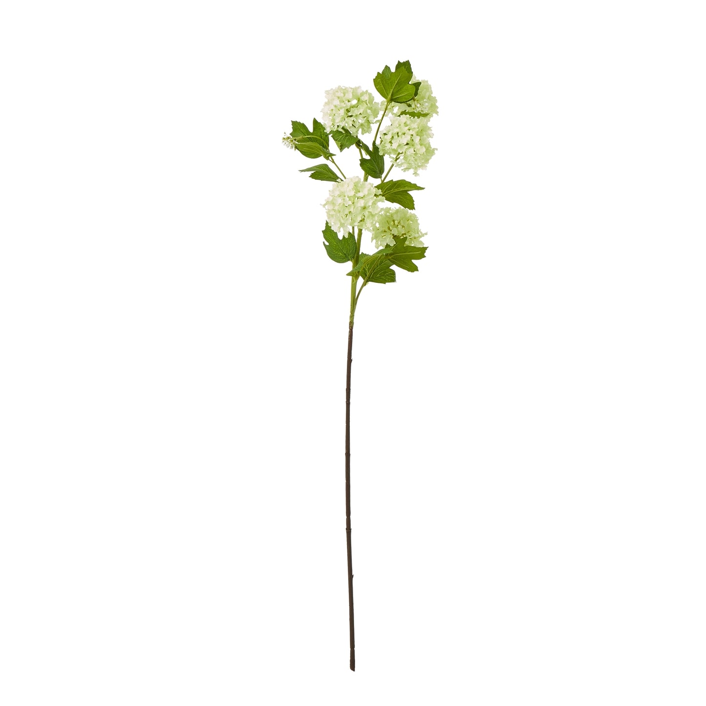 Green Snowball Viburnum Spray - Skandi London