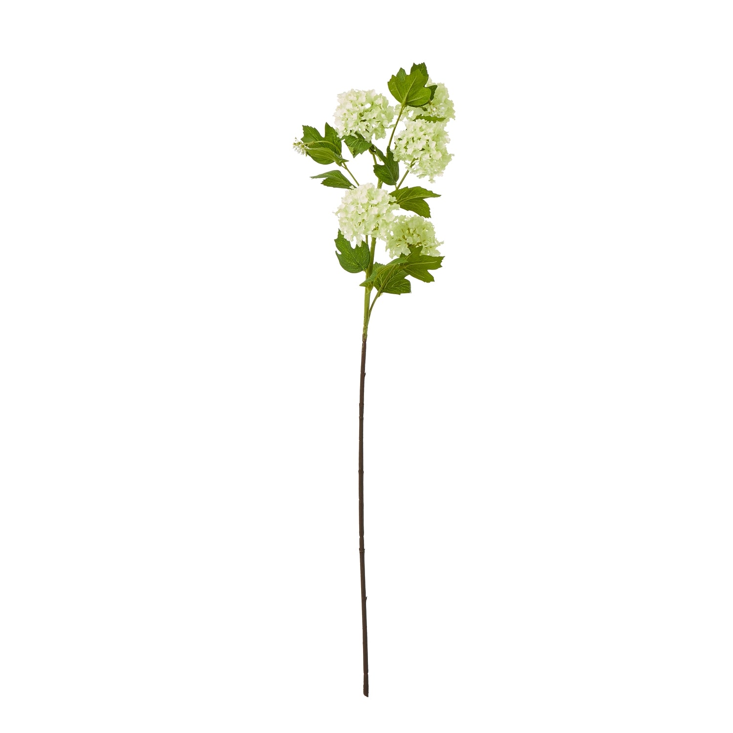 Green Snowball Viburnum Spray - Skandi London